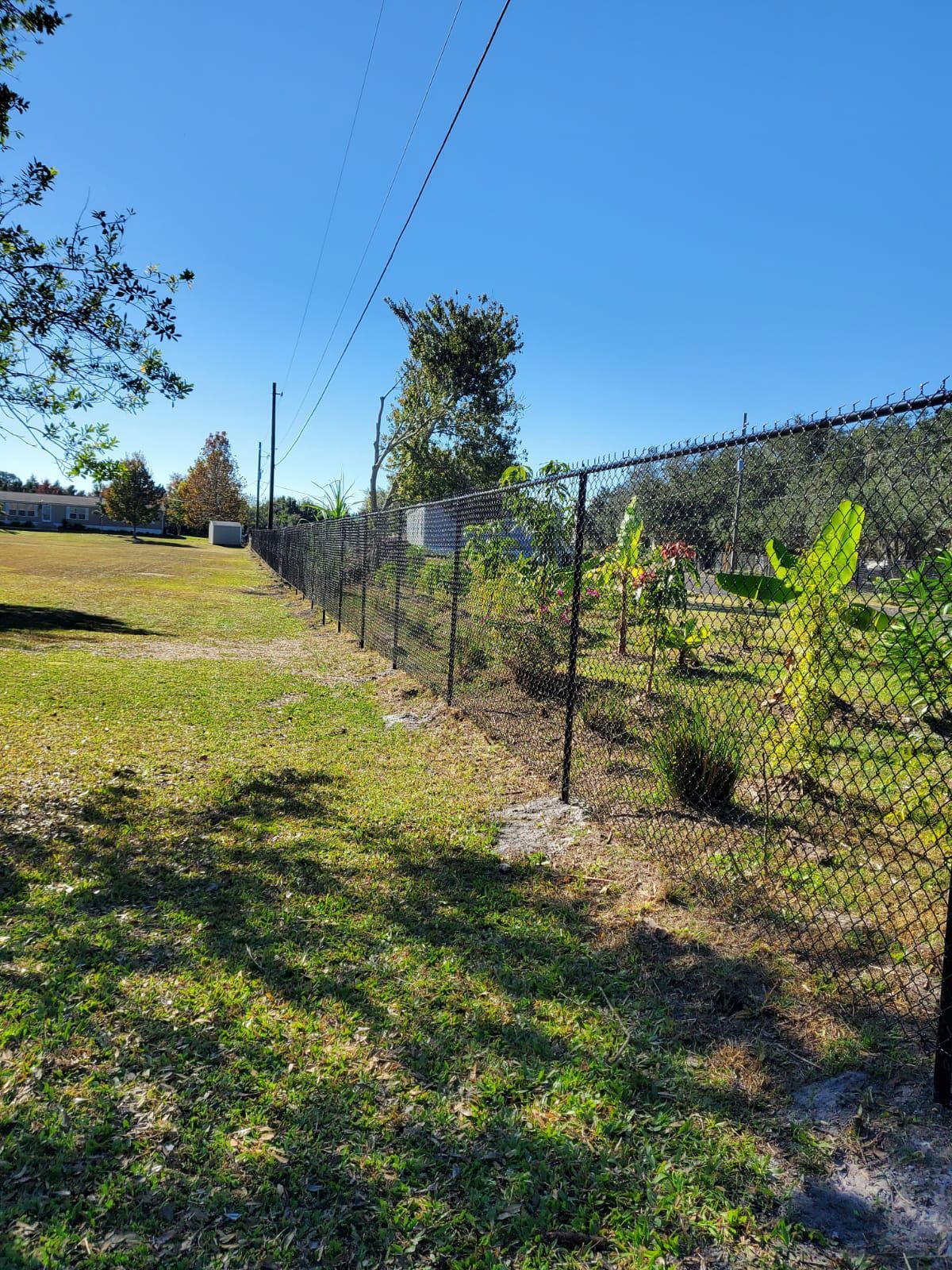 There is a chain link fence in the middle of a grassy field.