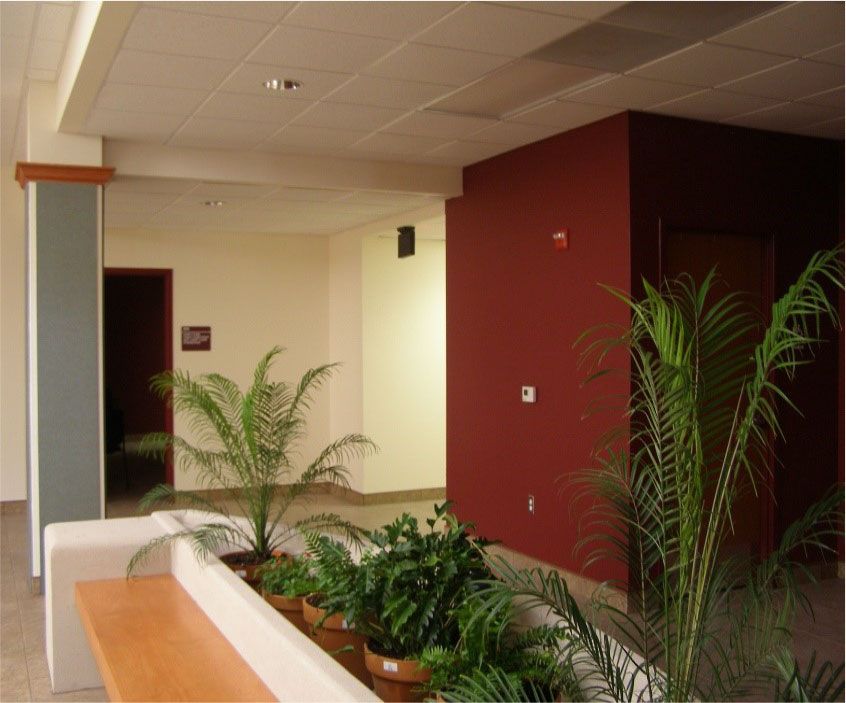 A hallway with a red wall and potted plants