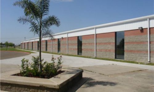 A building with a palm tree in front of it