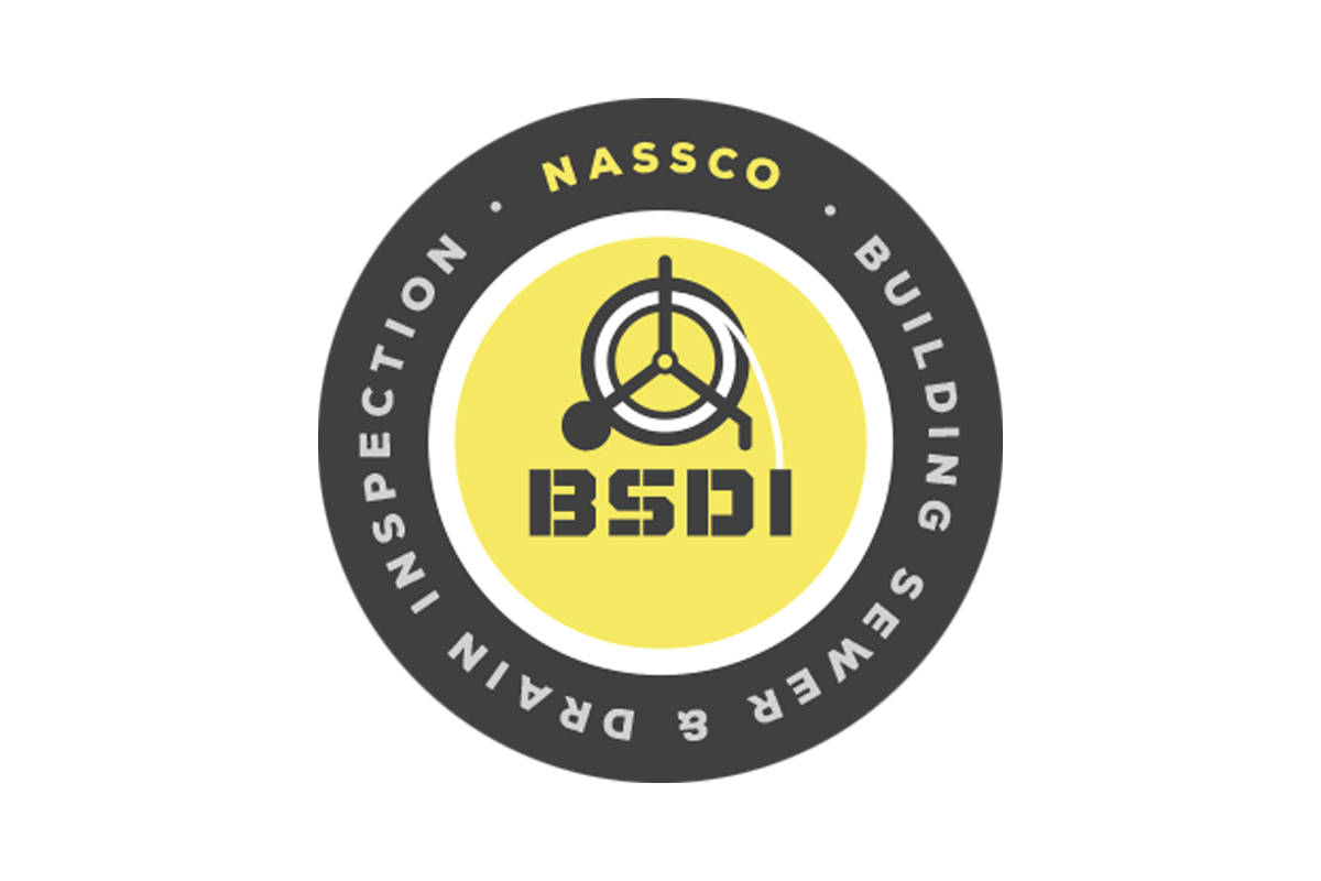 BSDI Logo