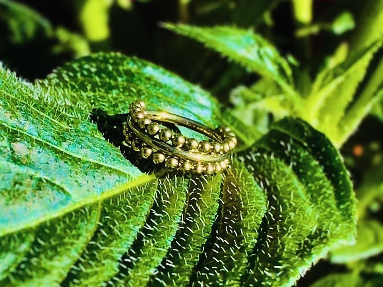 A close up of a ring on a green leaf.