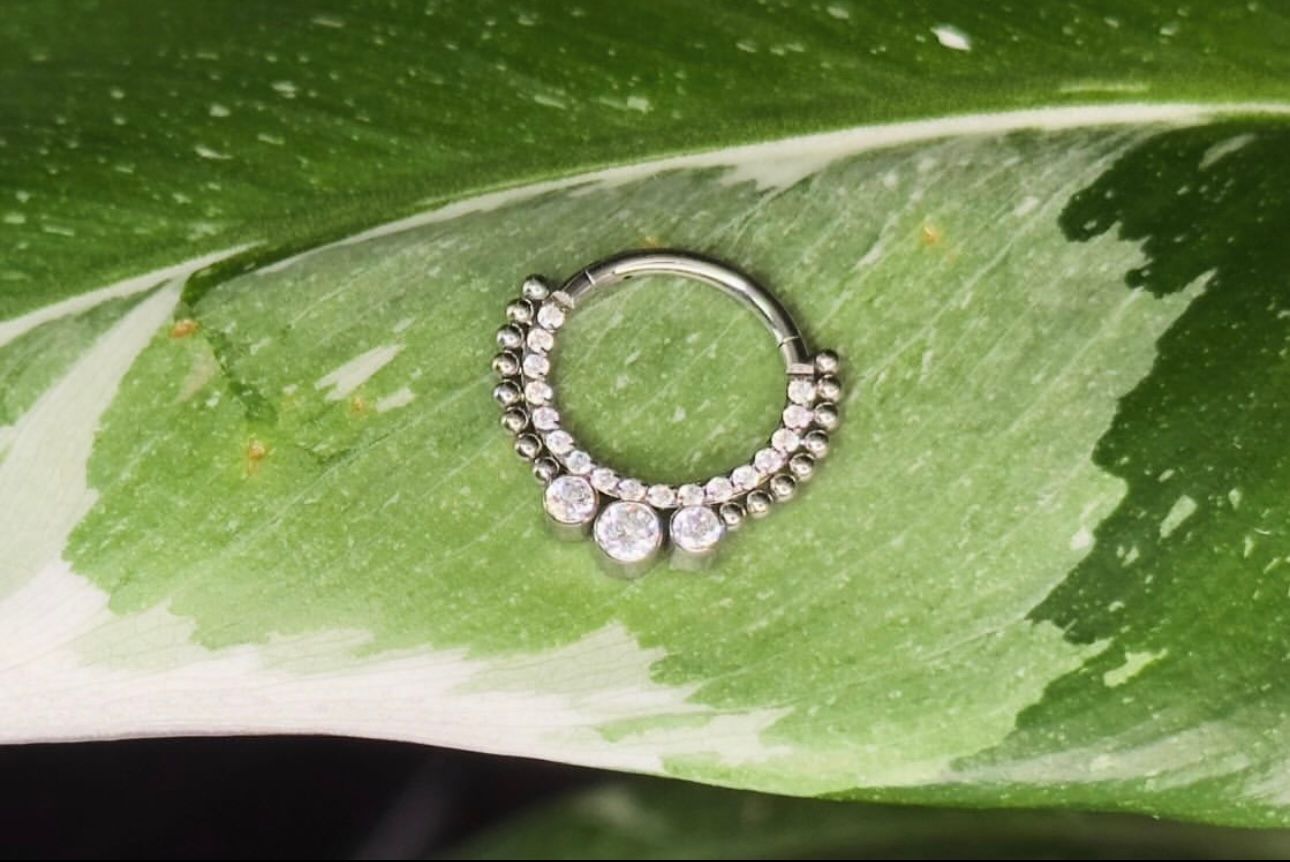 A close up of a nose ring on a green leaf.