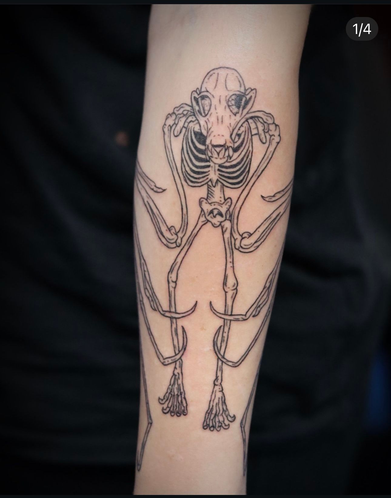 A person has a tattoo of a skeleton on their forearm