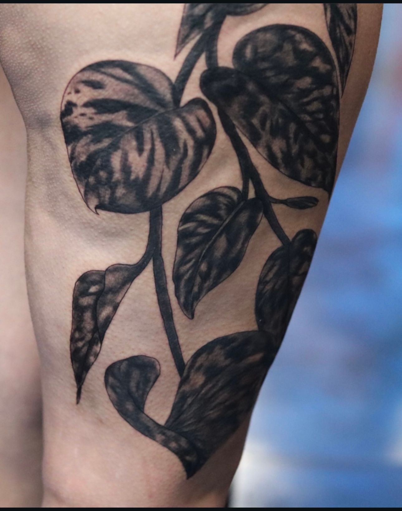 A woman has a tattoo of leaves on her leg