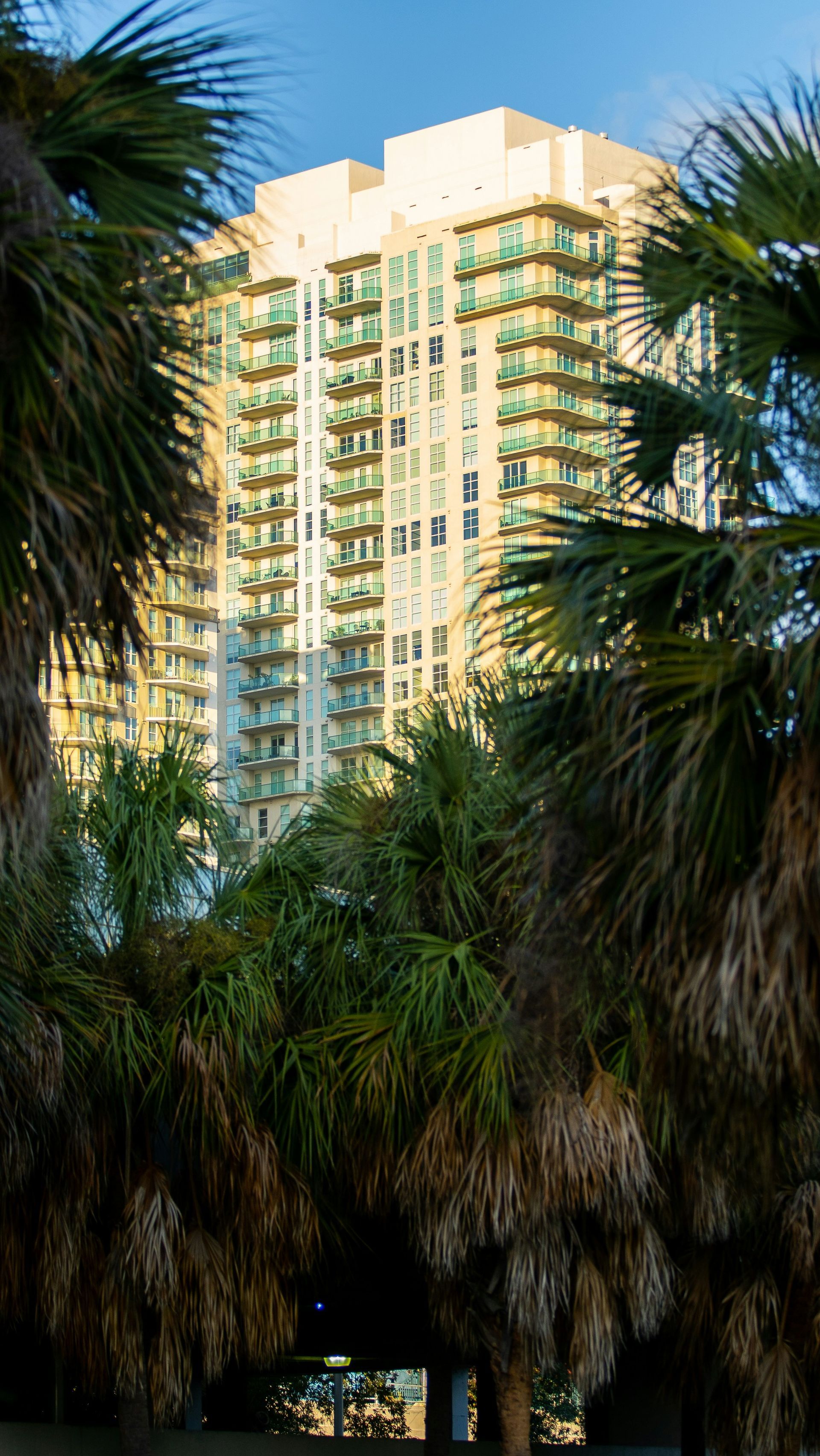 A tall, light-colored apartment building with balconies is framed by palm trees against a blue sky.
