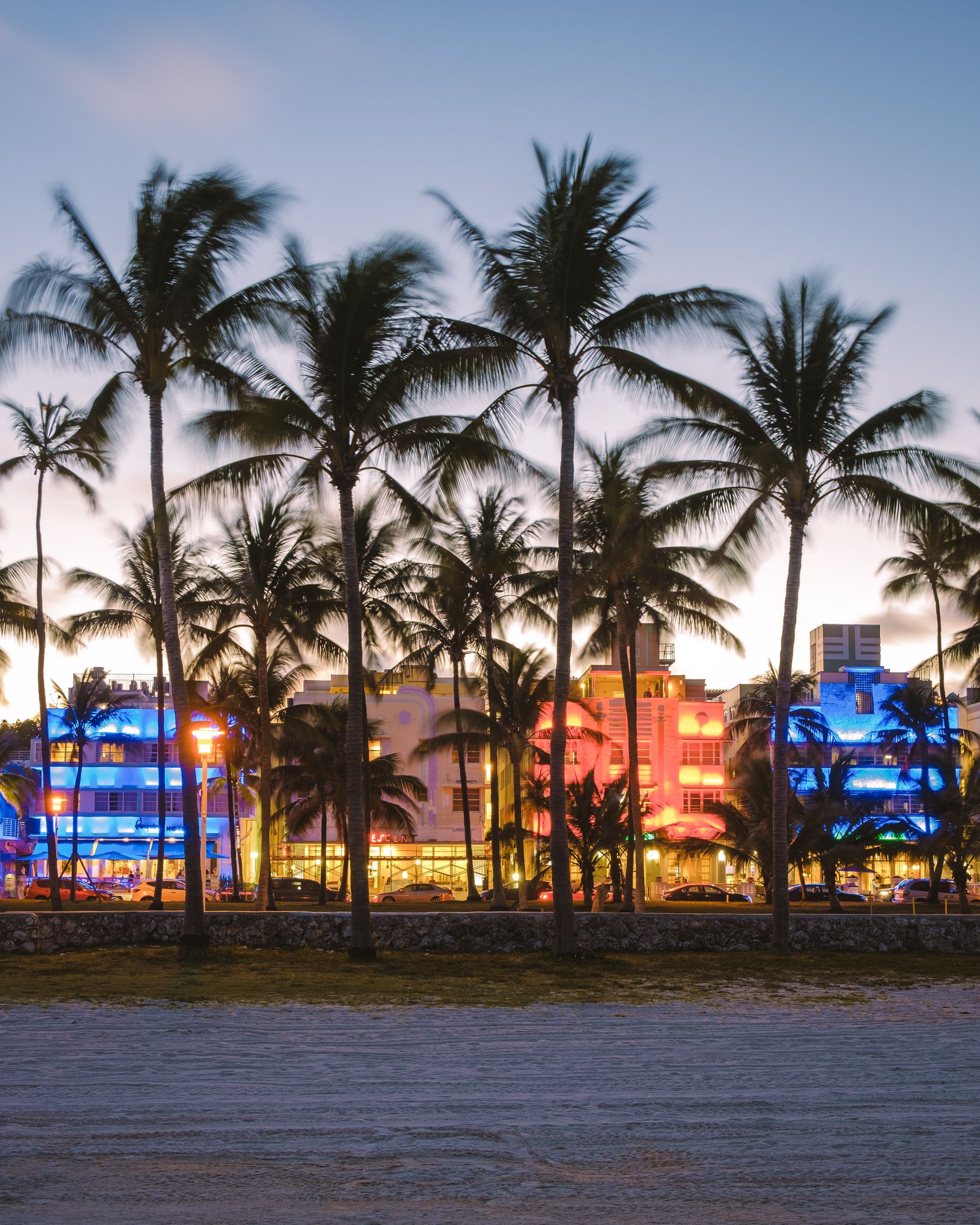 Palm trees silhouetted against a twilight sky with brightly illuminated, colorful buildings in the background.