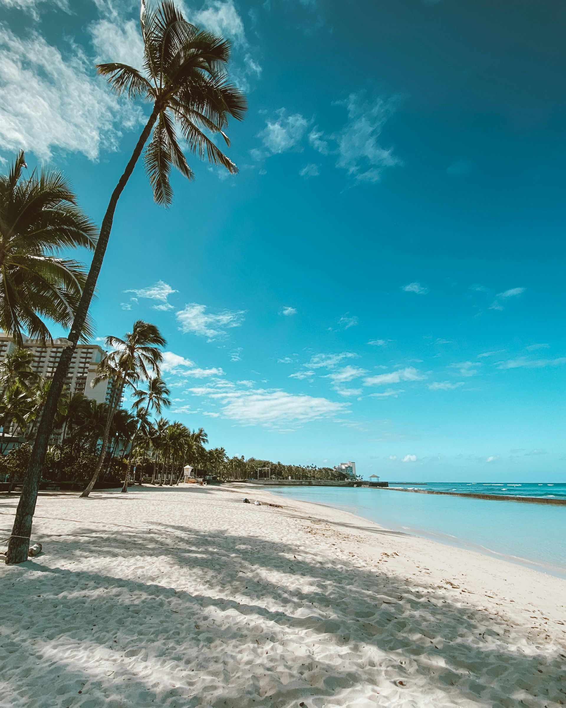 A sandy beach with tall palm trees, turquoise water, and a bright blue sky with light clouds.