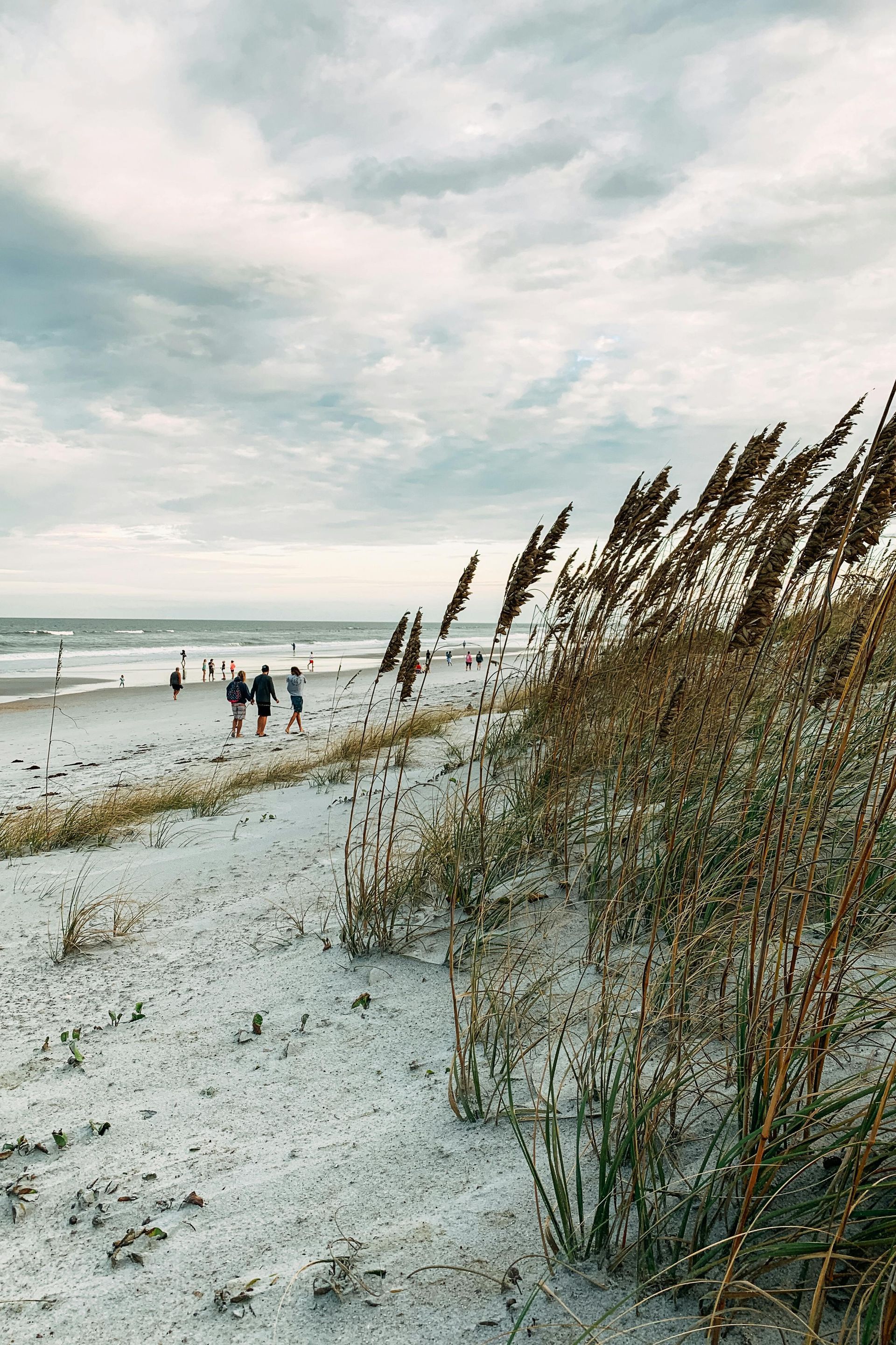 Beach scene with tall sea oats on sand dunes, overlooking a sandy shoreline with a few distant figures under a cloudy sky.