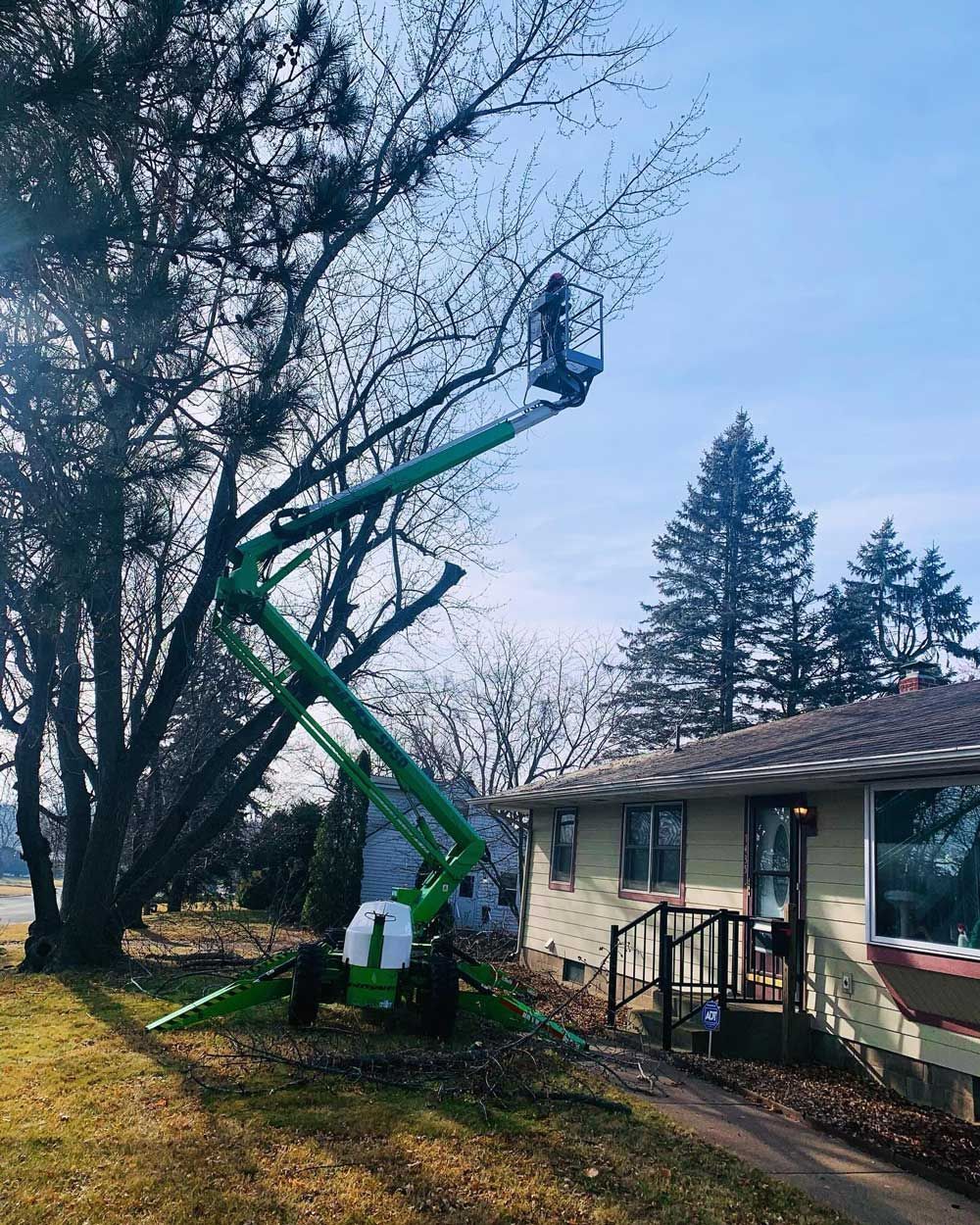 A green crane is cutting a tree in front of a house.