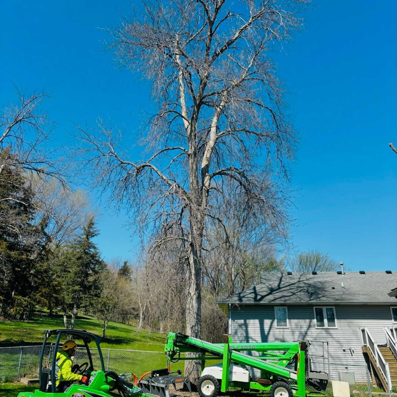 A man is driving a green forklift next to a tree in front of a house.