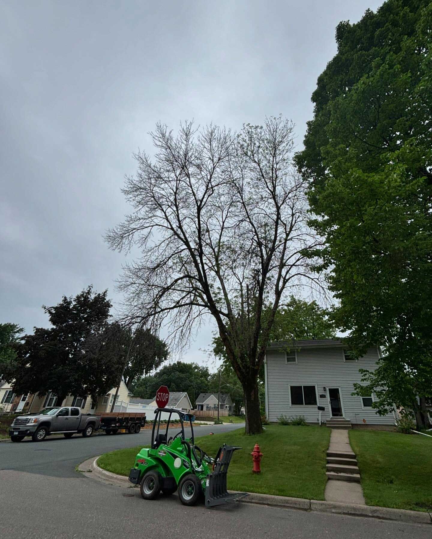 A green lawn mower is parked on the side of the road