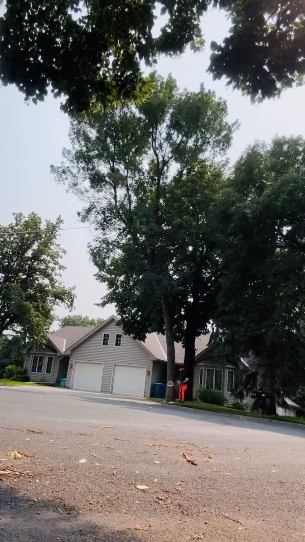 A house with two garages and a large tree in front of it.
