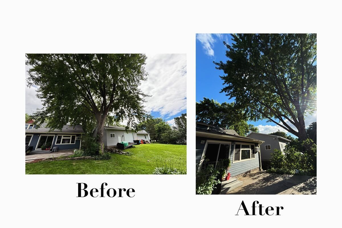 A before and after picture of a tree in front of a house.