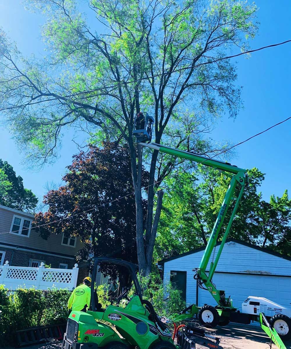 A green crane is cutting a tree in front of a house.