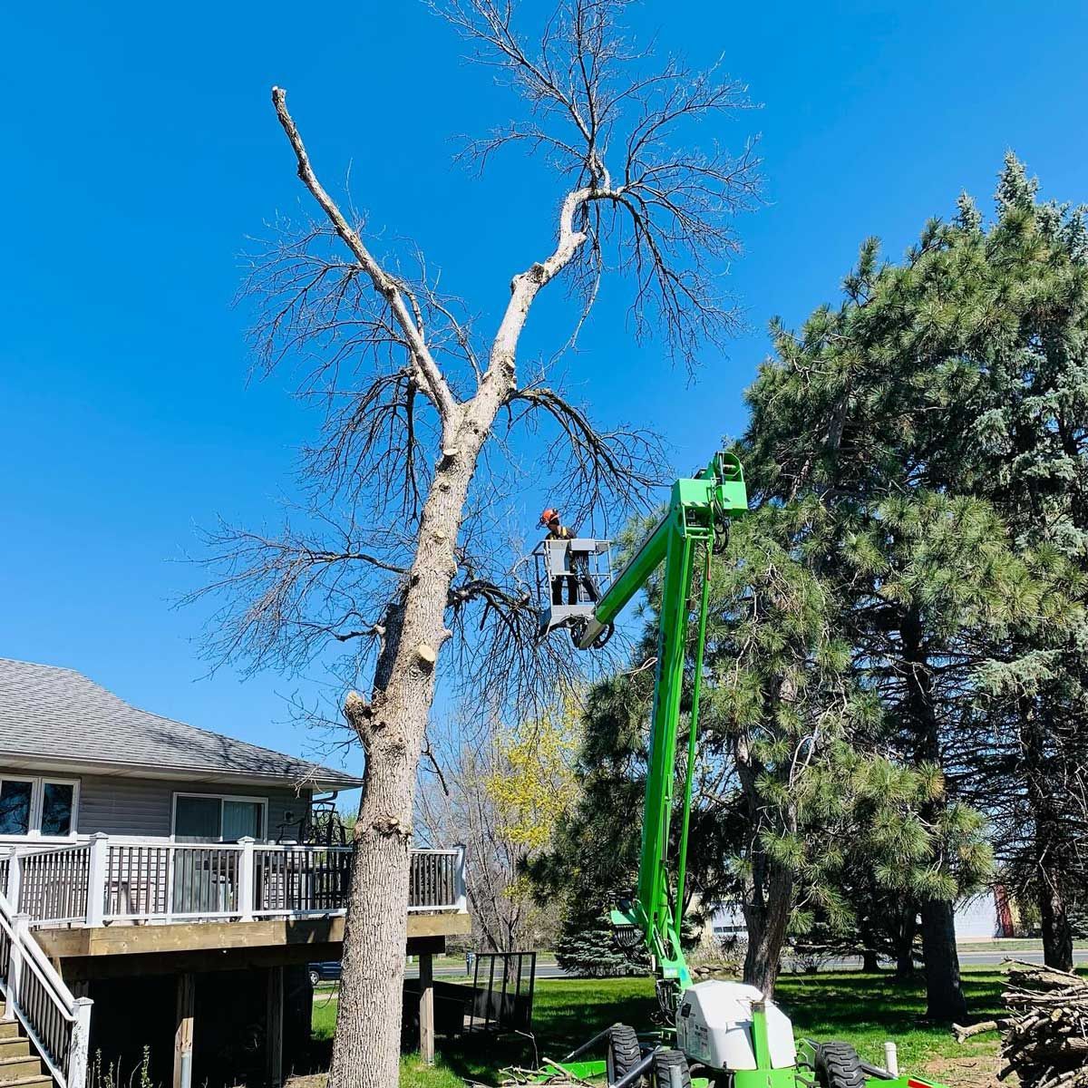 A man is cutting a tree with a crane in front of a house.