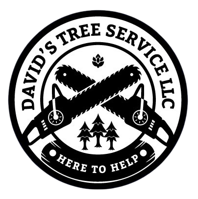 David's Tree Service LLC	