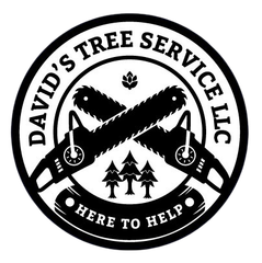 David's Tree Service LLC	