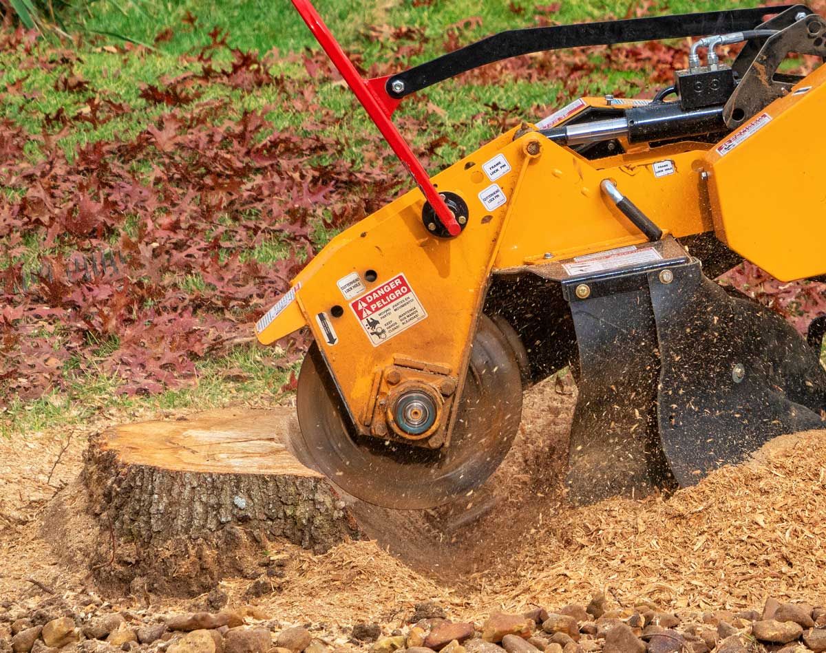 Stump grinding — Shakopee, MN — David's Tree Service