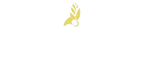 Mustard Seed Video Productions Inc.