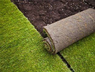 Lawn Turf and soil supplies