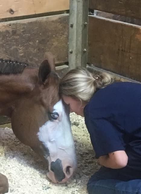 Artificial Insemination — Mora, MN — Country Care Equine Veterinary Services, P.A.