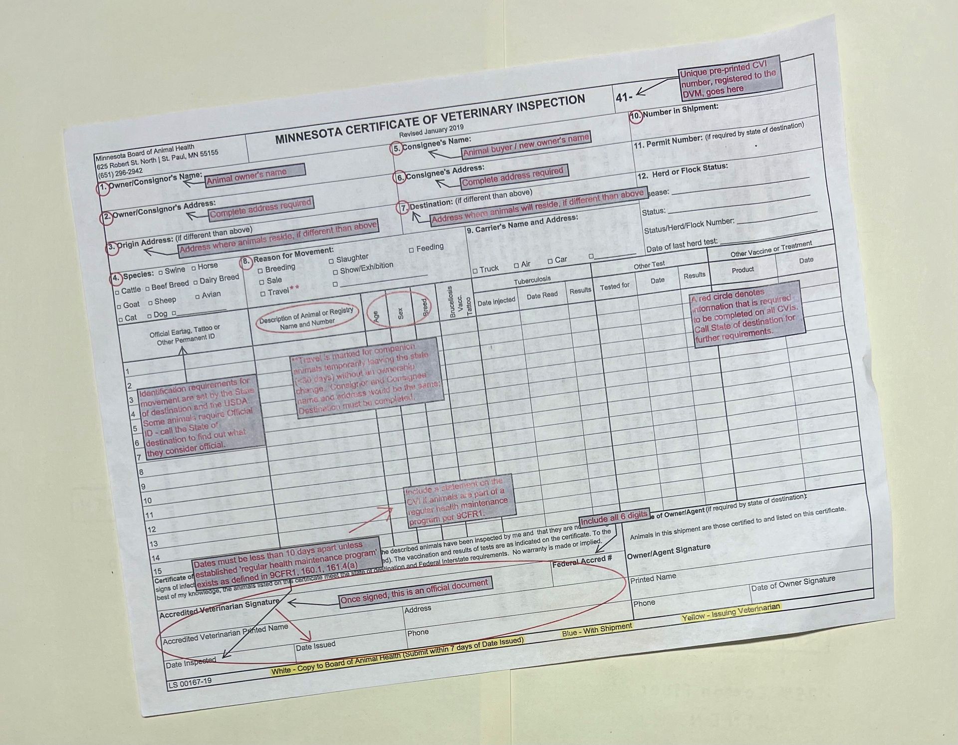 Health Certificate — Mora, MN — Country Care Equine Veterinary Services, P.A.