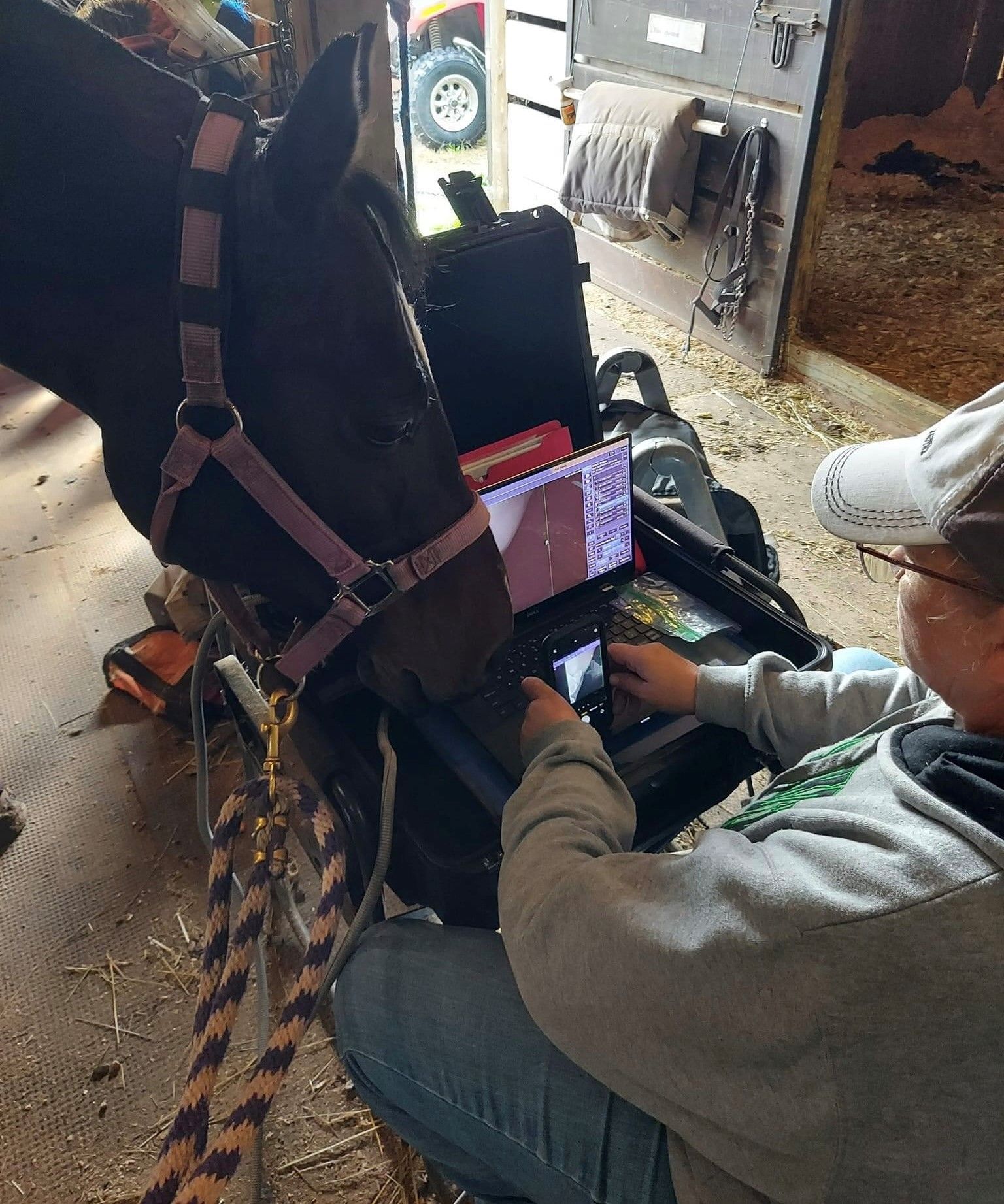 Man Doing Lameness Exam — Mora, MN — Country Care Equine Veterinary Services, P.A.