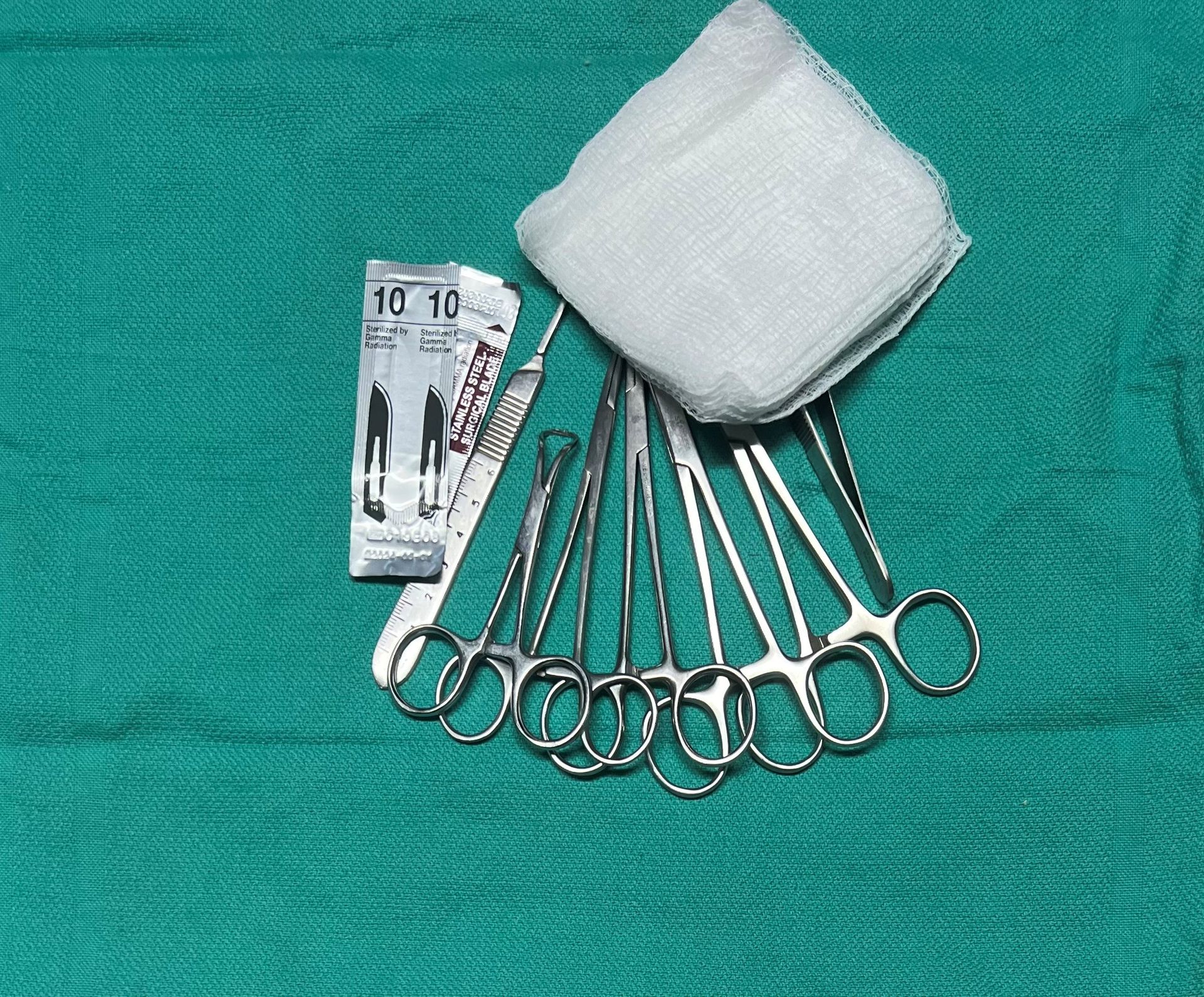 A Horse Is Being Operated On By Two Surgeons — Mora, MN — Country Care Equine Veterinary Services, P.A.