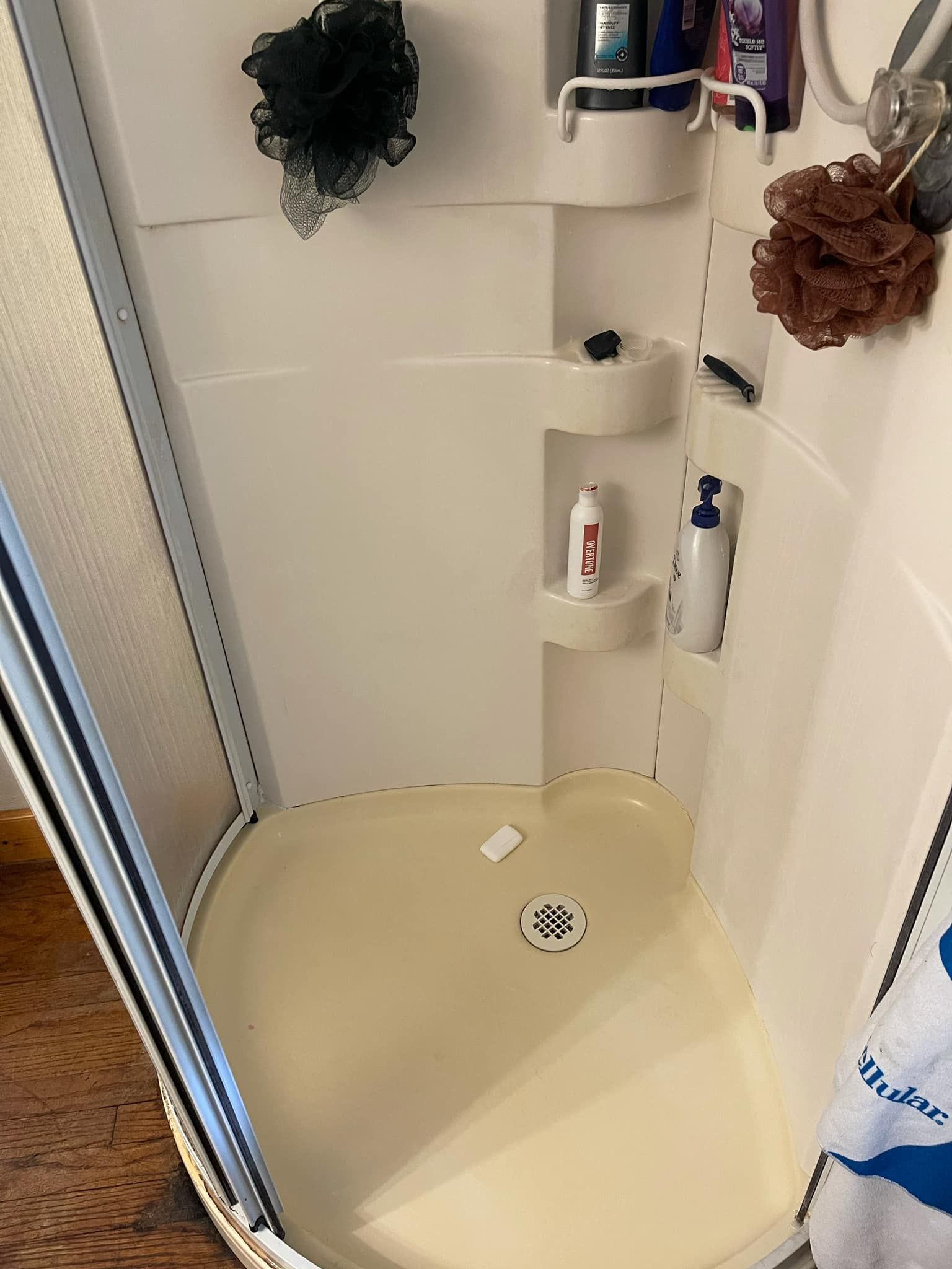 Corner shower stall with rounded base and built-in shelves holding toiletries.