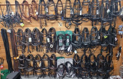 horse equipment for sale
