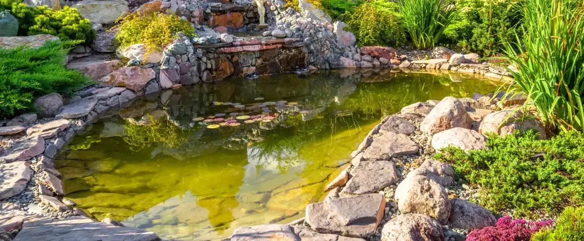 Backyard Pond Construction In Minnesota: What To Know Before Digging