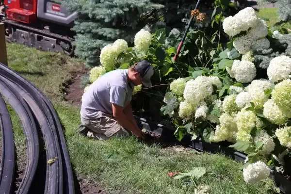 Dependable landscaping in Minnetonka, MN providing consistent and well-maintained outdoor improvements