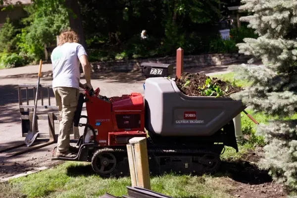 Landscape cleanup in North Branch, MN