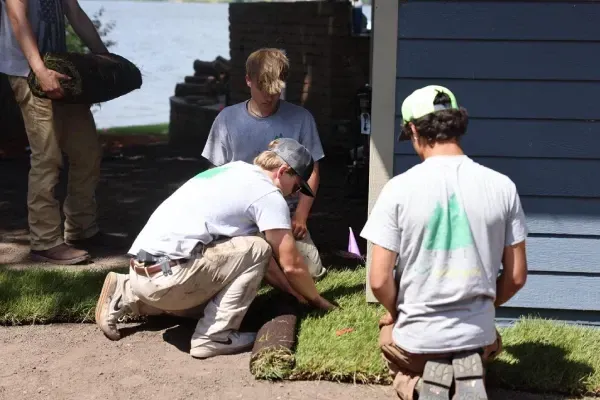 New lawn sod installation in MN