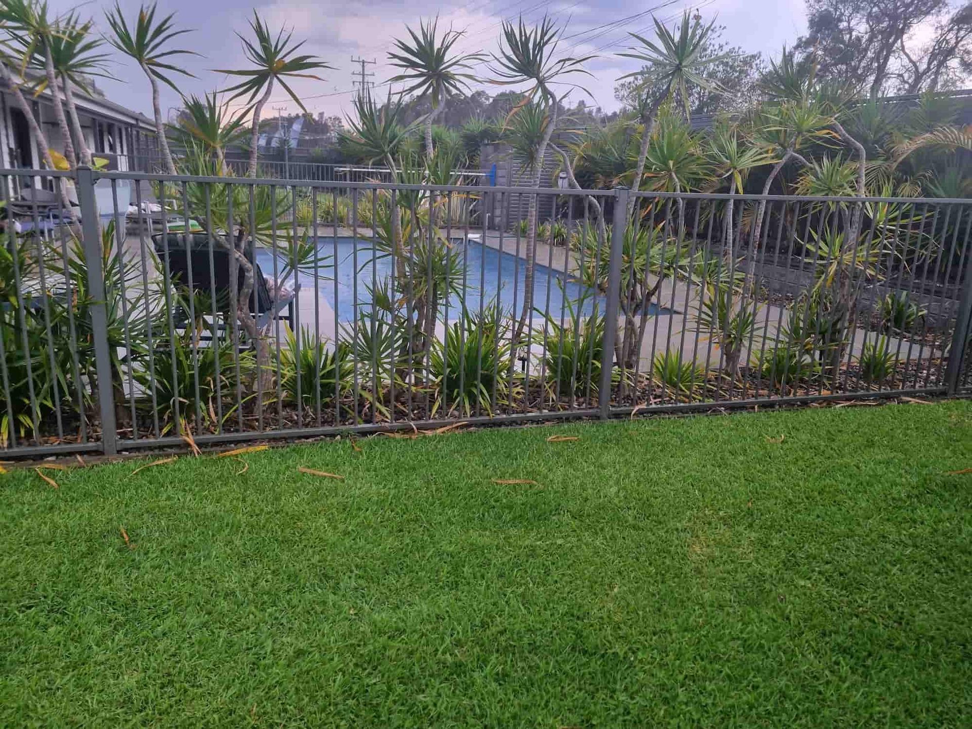 A Fence Surrounds A Swimming Pool In A Backyard — Australian Advanced Fencing In Laurieton, NSW