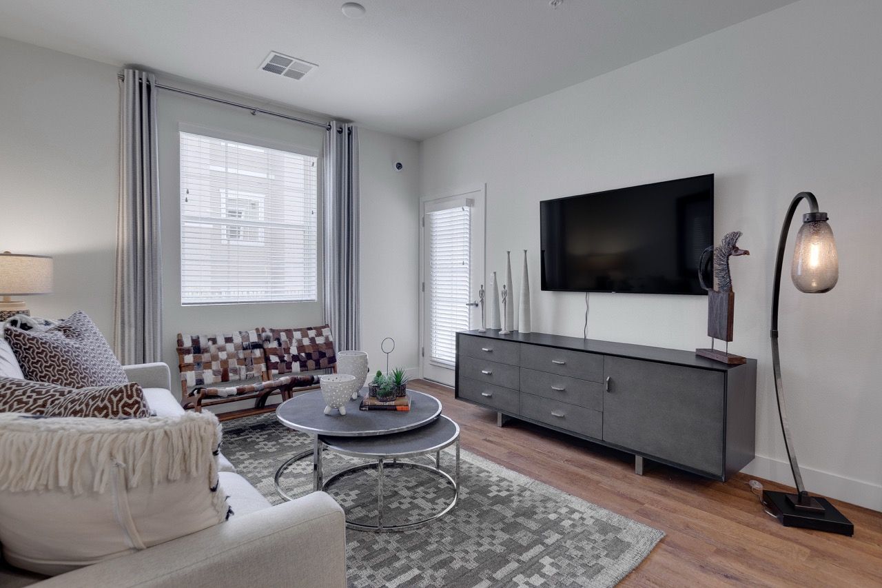 Living room in an apartment with a TV, gray media console, sofa, rug, and a floor lamp.