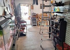 An aisle of mixed antiques and unusual finds in a charming small-town vintage store.