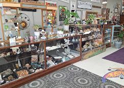 Curio shop display with glass cases of crystals, rocks, and collectibles, with rugs and plants nearby