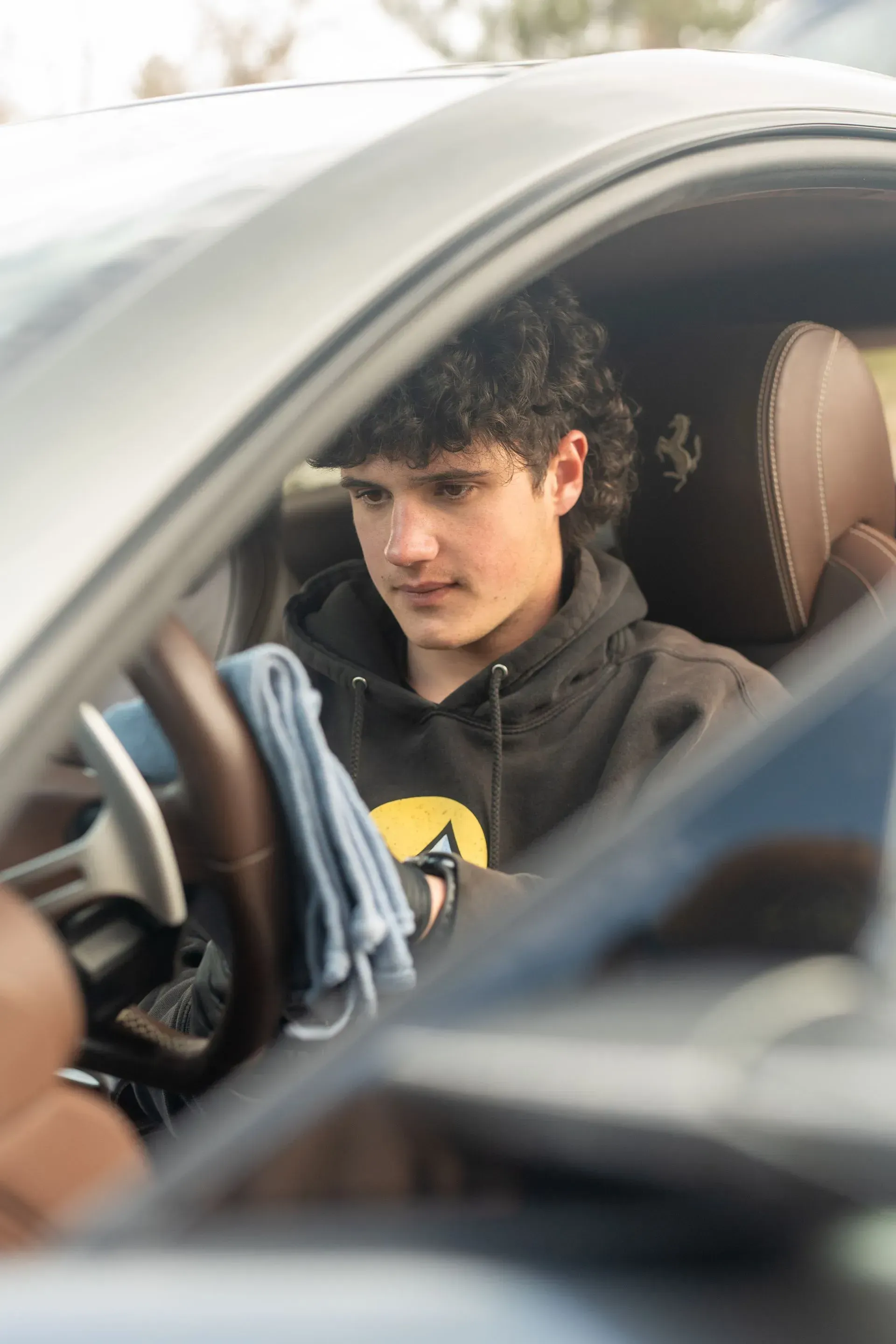 Professional Detailing