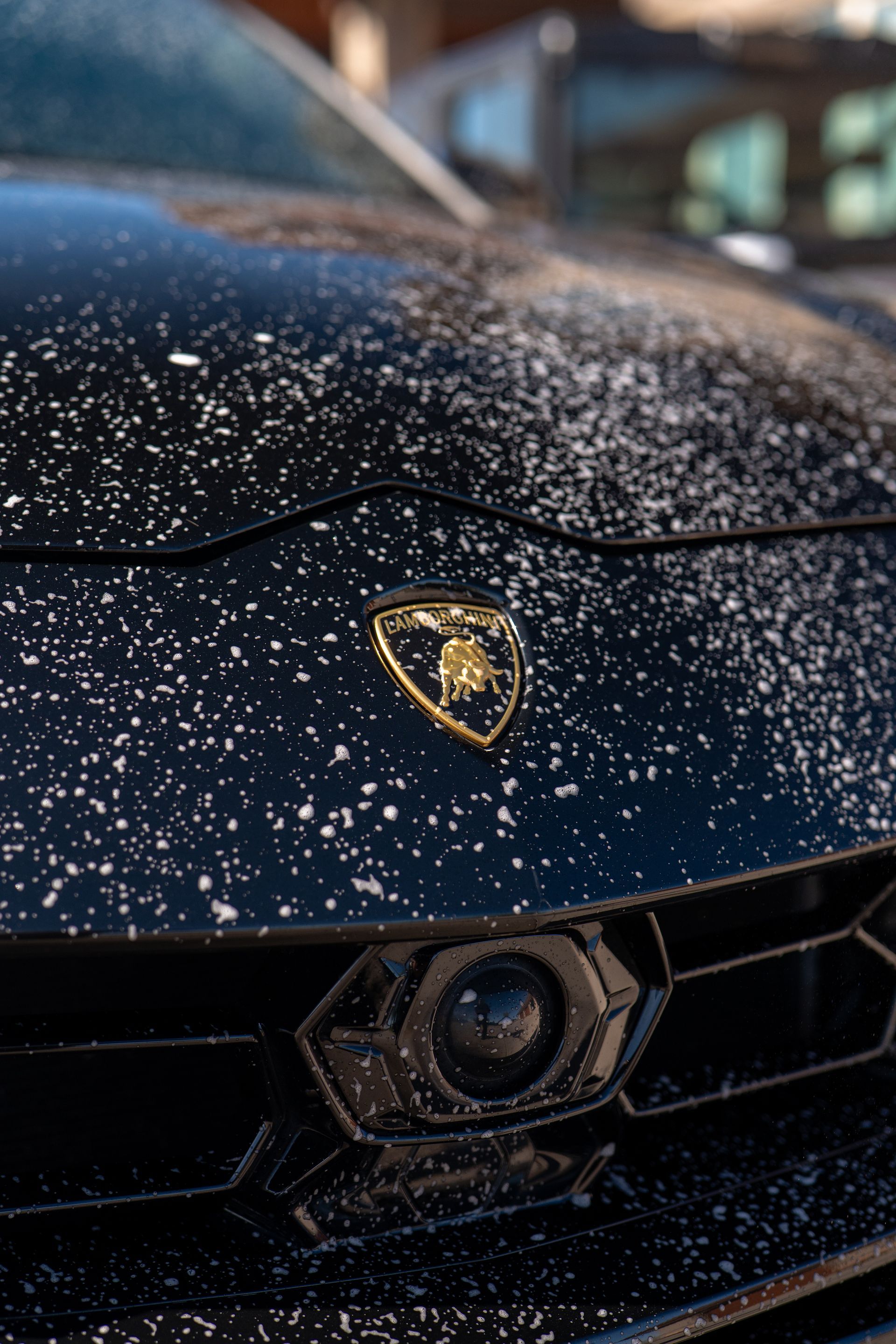 Close-up of a dark Lamborghini covered in white specks, with the emblem centered on the hood.