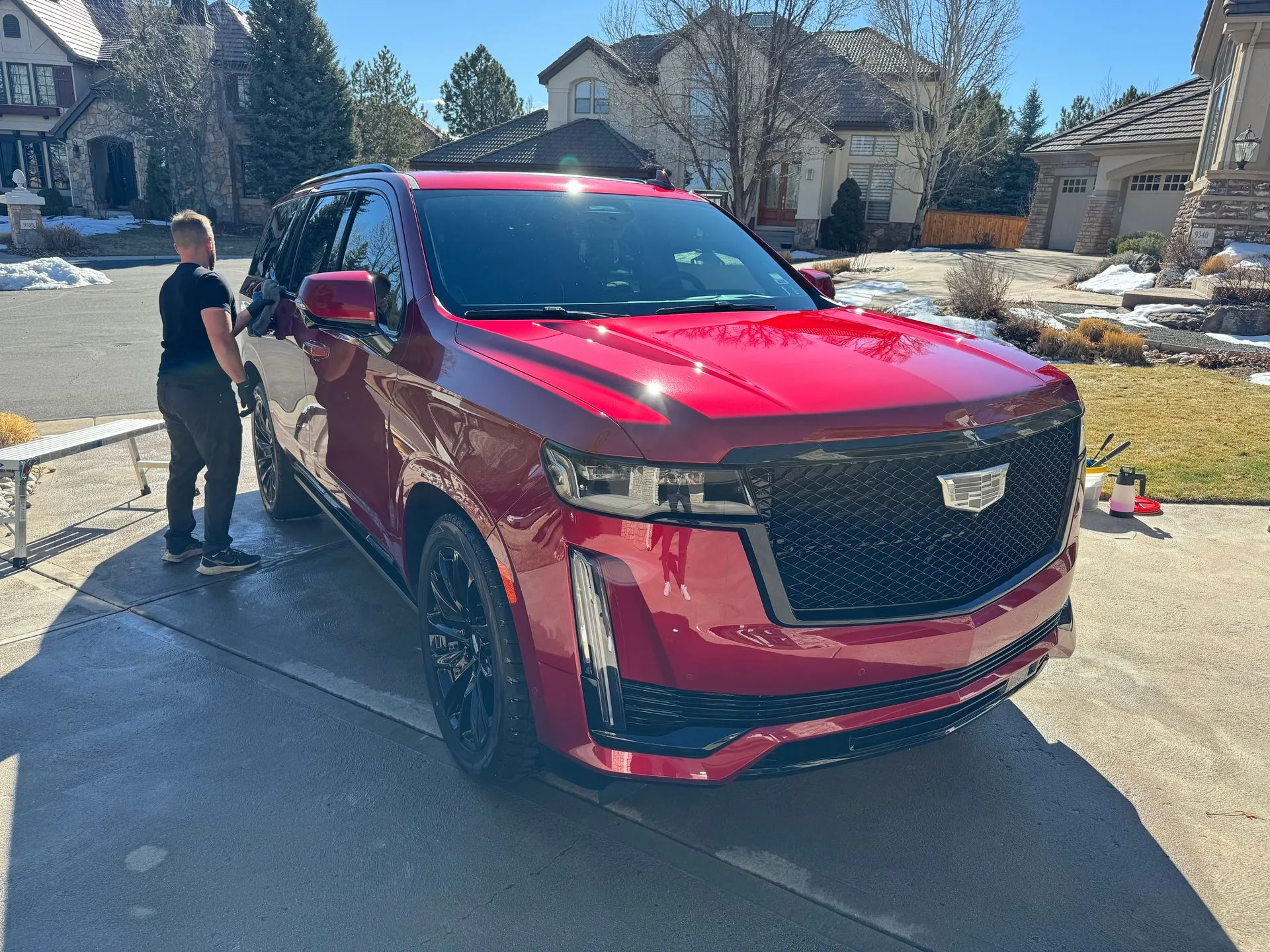 Professional Detailing