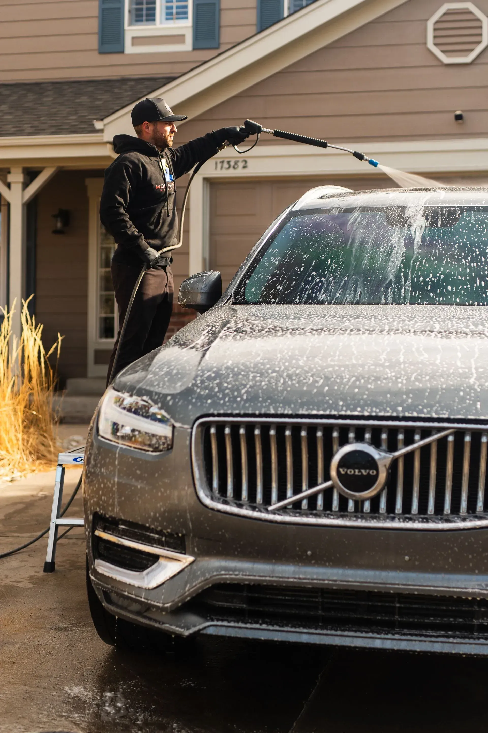 Professional Detailing