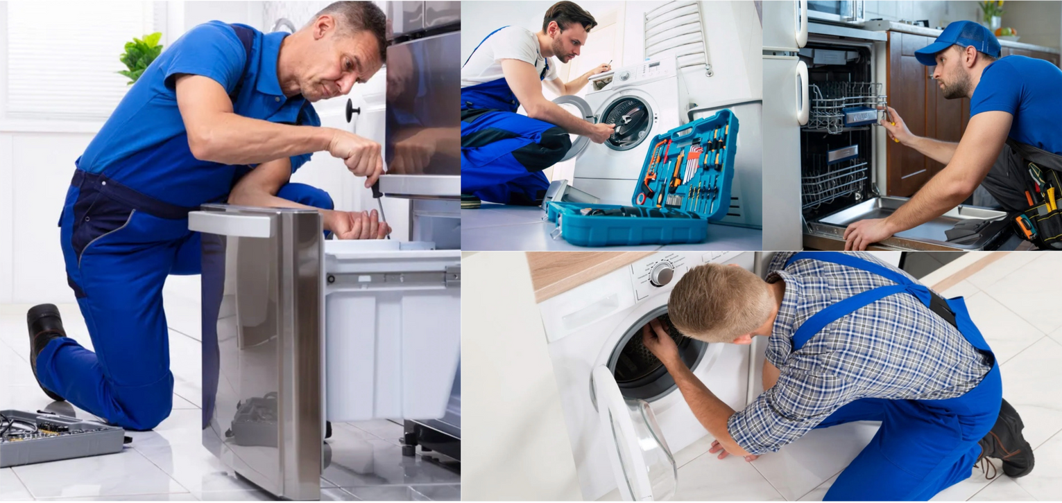 appliance cleaning in cary nc