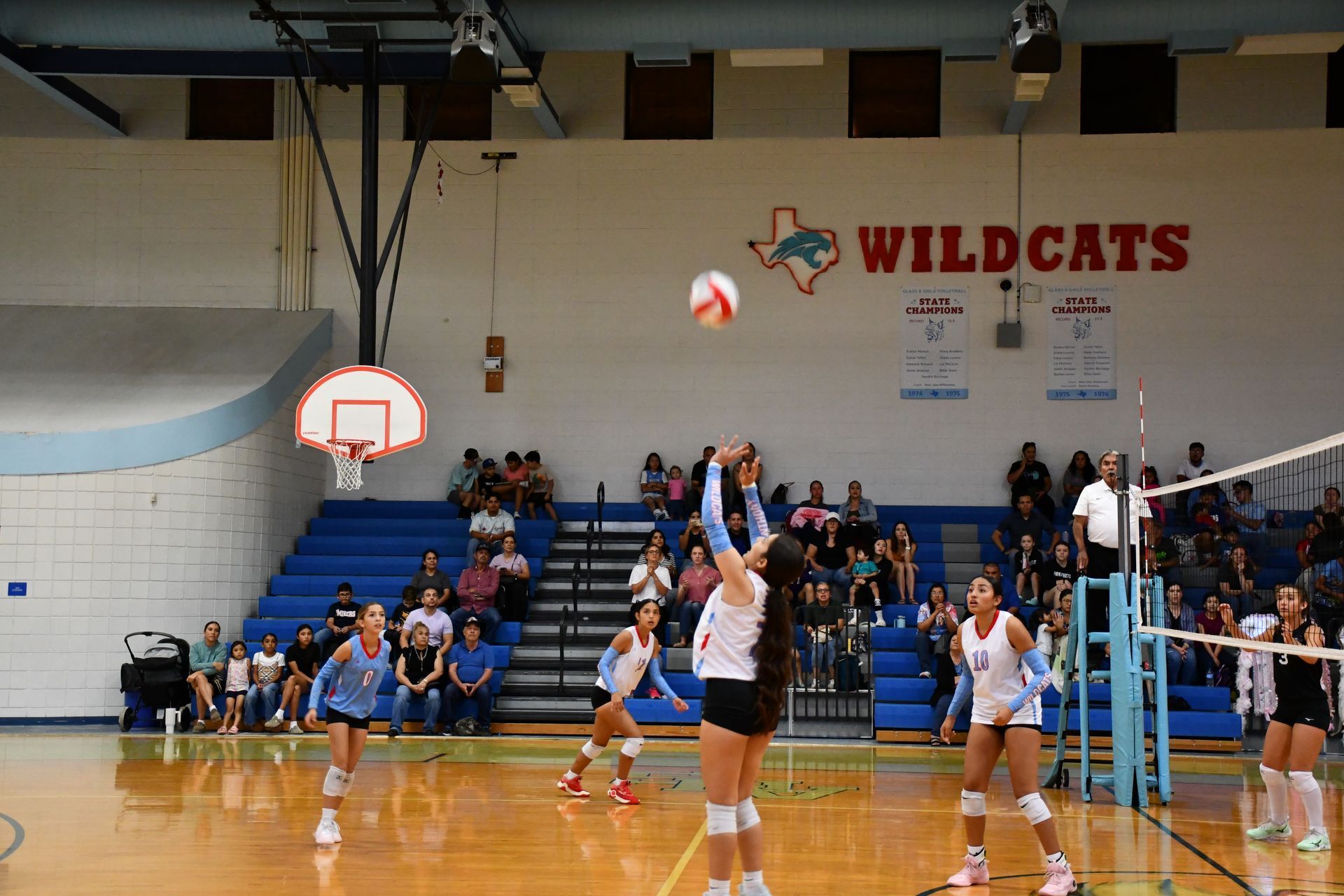 Volleyball players hit the call on court.