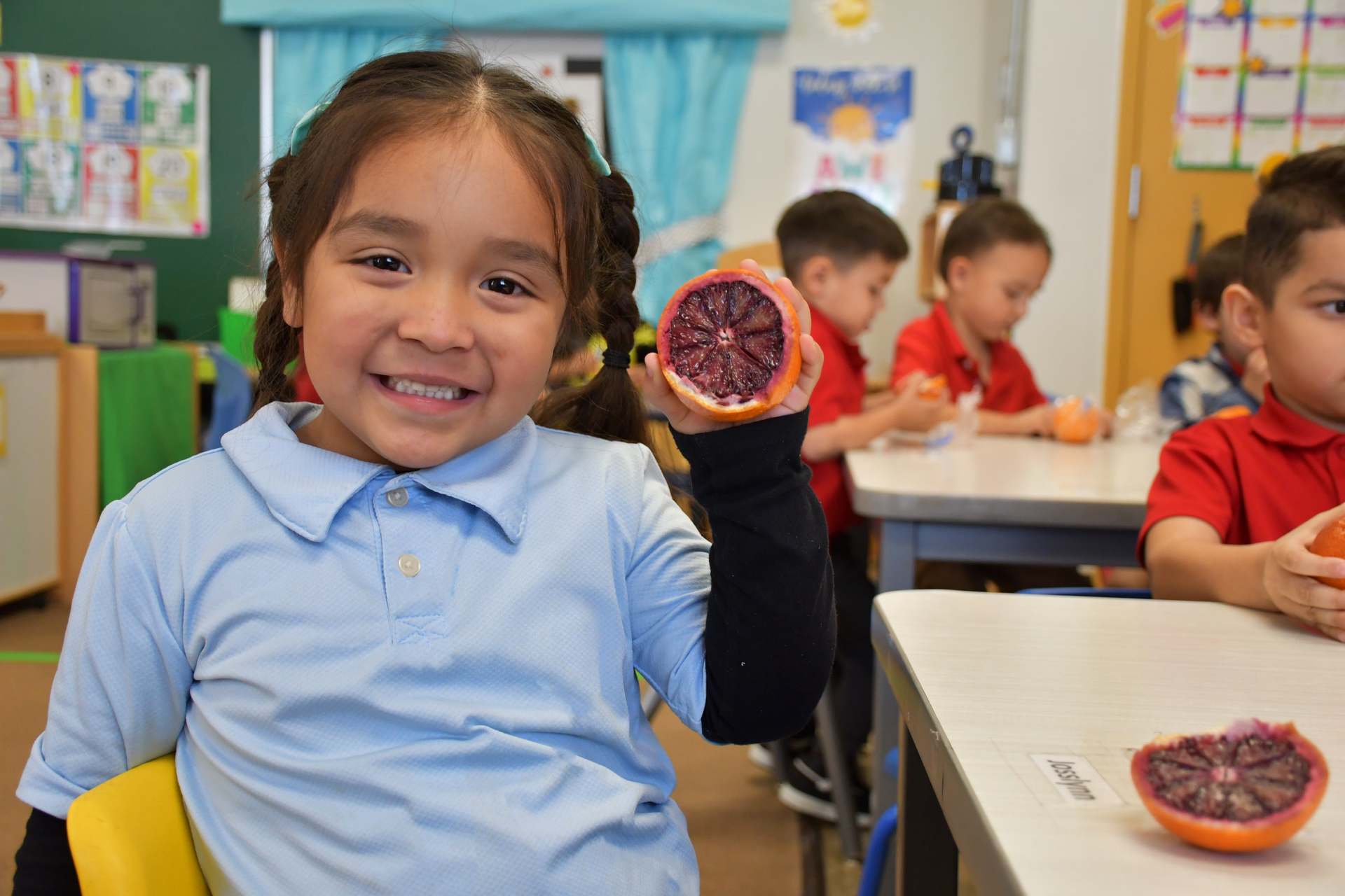Student wearing light blue polo and braids sits on a yellow chair in her classroom while holding a dark red blod orange and smiling at the camera.