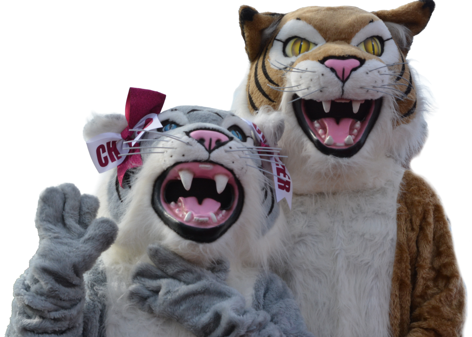 Wildcat mascots hug each other