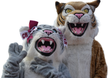 Wildcat mascots hug each other