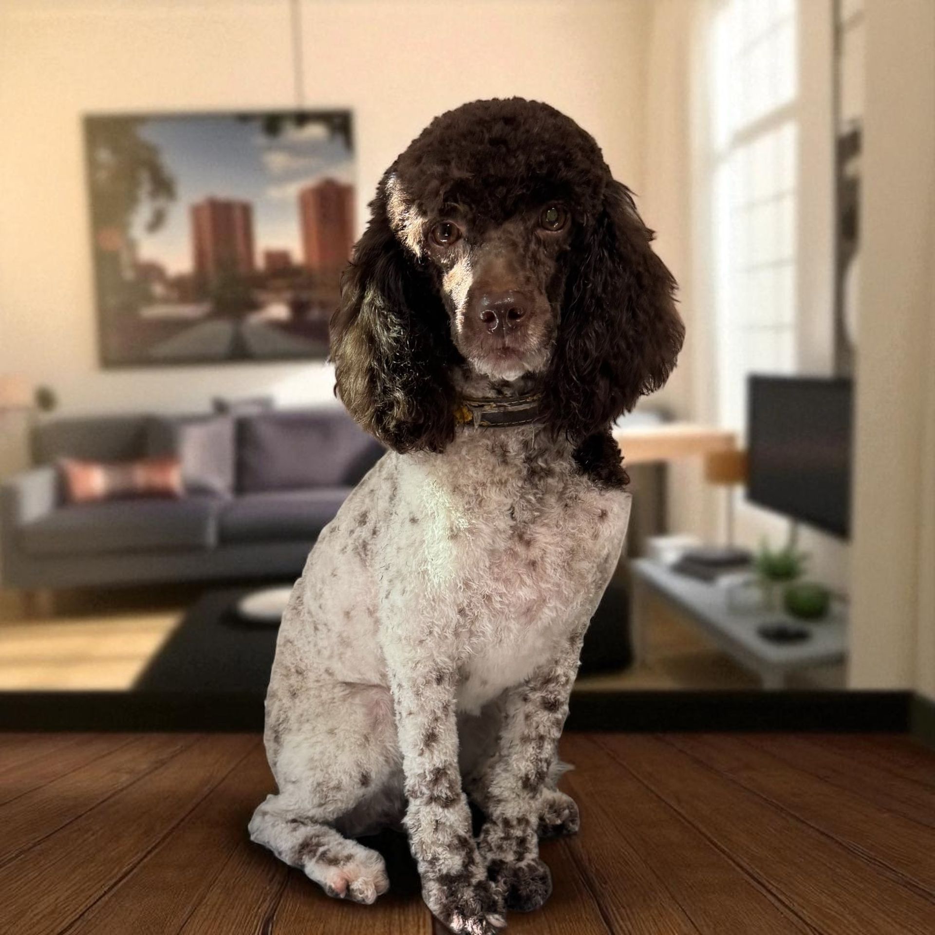 A brown dog wearing a tie dye bandana is sitting on a grooming table.