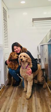 Woman hugging two fluffy dogs inside a room with wood flooring and white walls.