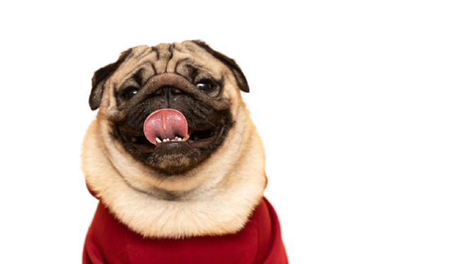 A small dog is taking a bath in a wooden bucket.